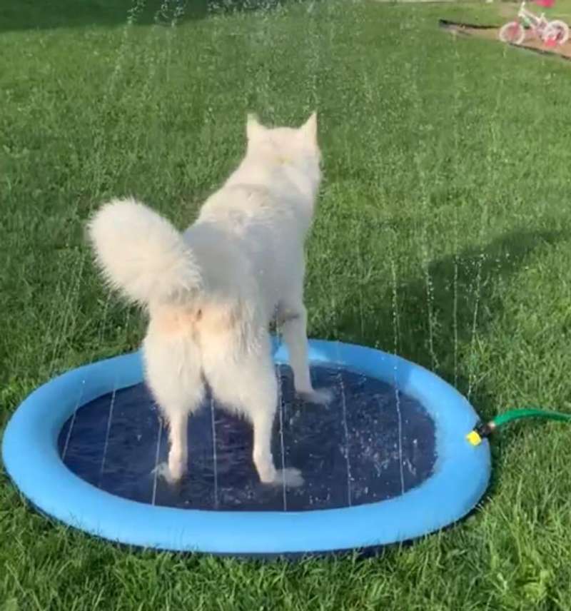 Splash Pad