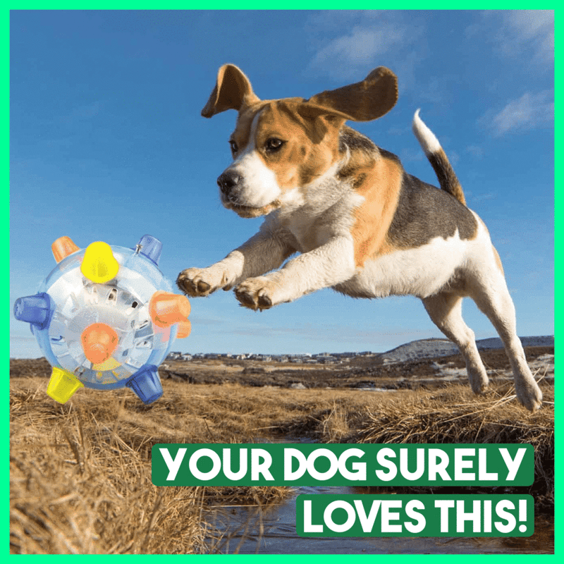 🔥 BIG SALE - HALF PRICE 🔥 Jumping Activation Ball for Dogs 🐶🥎 BUY 2 GET 1 FREE🎅💥