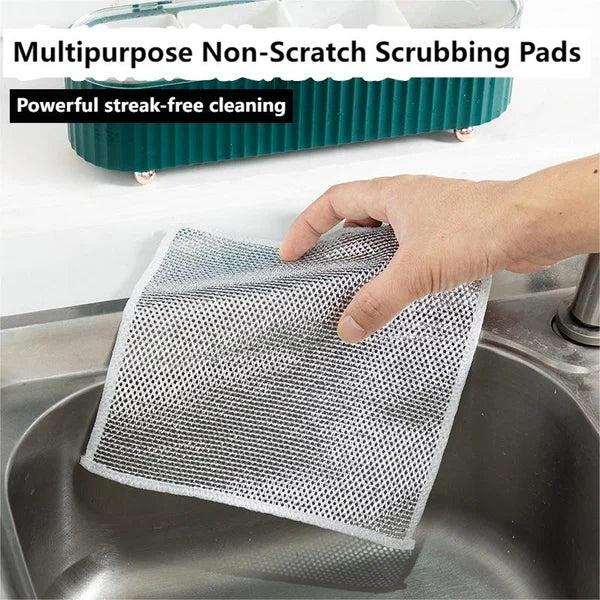 Double Stainless Steel Scrubber